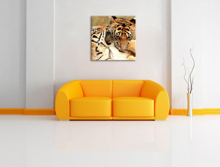 Pixxprint Zwei Junge Tiger beim Kämpfen als Leinwandbild | Grösse: 70x70 cm | Wandbild| Kunstdruck |