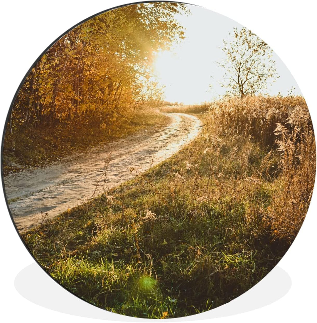 MuchoWow Wandbild Rund Wanddeko Deko Wohnzimmer Bilder 90x90 cm Weg - Natur - Baum, 90x90 cm