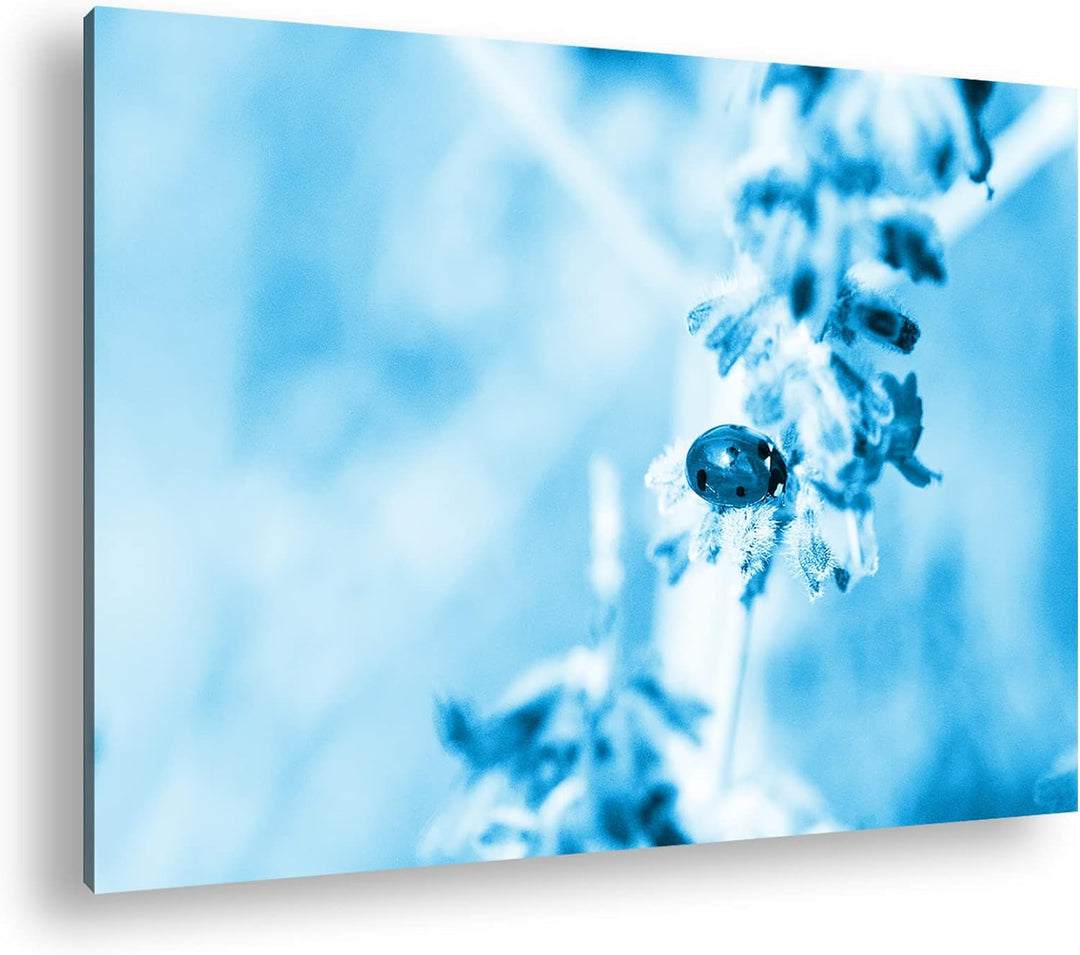 deyoli süsser Marienkäfer auf einem Lavendelzweig Format 120x80 Effekt: Monocrome Blau als Leinwandb