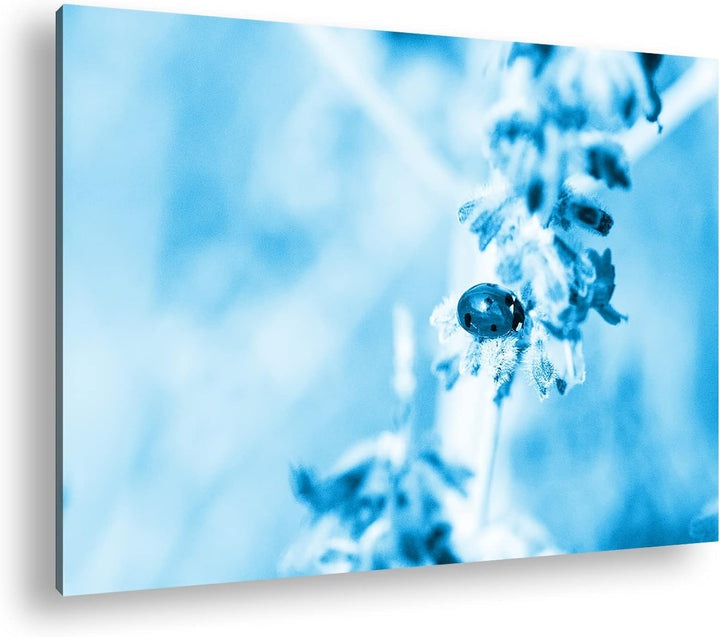 deyoli süsser Marienkäfer auf einem Lavendelzweig Format 120x80 Effekt: Monocrome Blau als Leinwandb