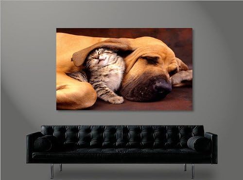 islandburner Bild Bilder auf Leinwand Beste Freunde Hund und Katze 1p XXL Poster Leinwandbild Wandbi