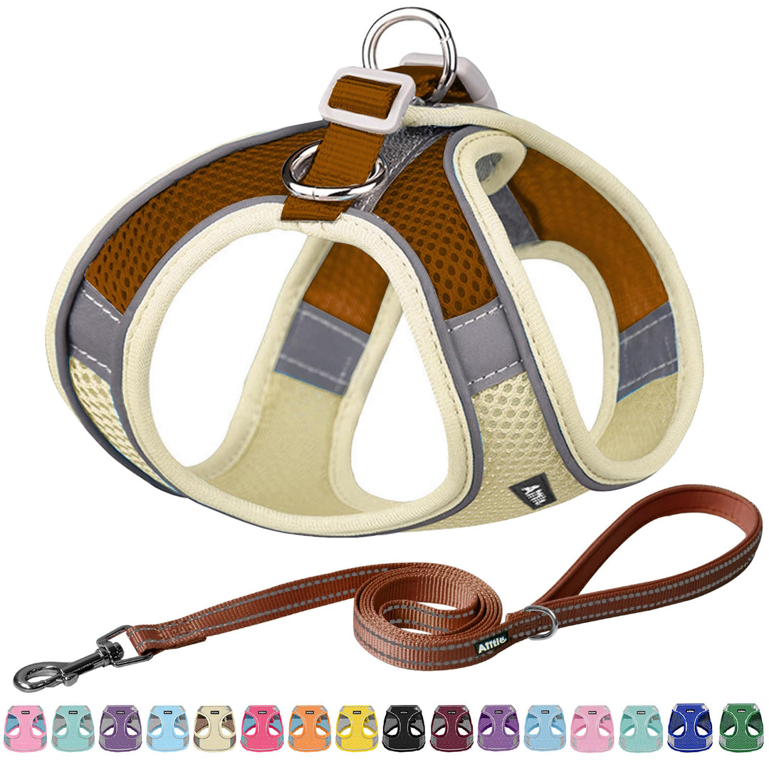 AIITLE No Pull Hundegeschirr, Step in einstellbares Hundegeschirr mit gepolsterter Weste, Hundeleine