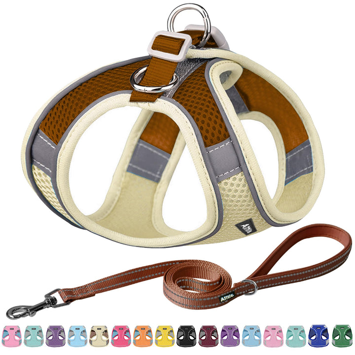AIITLE No Pull Hundegeschirr, Step in einstellbares Hundegeschirr mit gepolsterter Weste, Hundeleine