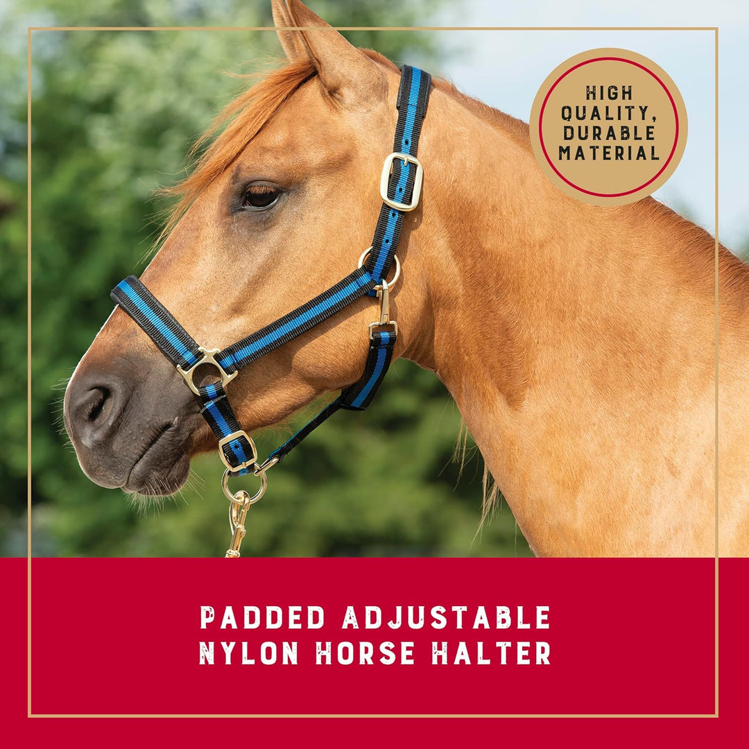 Weaver Leather Basic verstellbares Halfter Schwarz Average Horse, Schwarz Average Horse