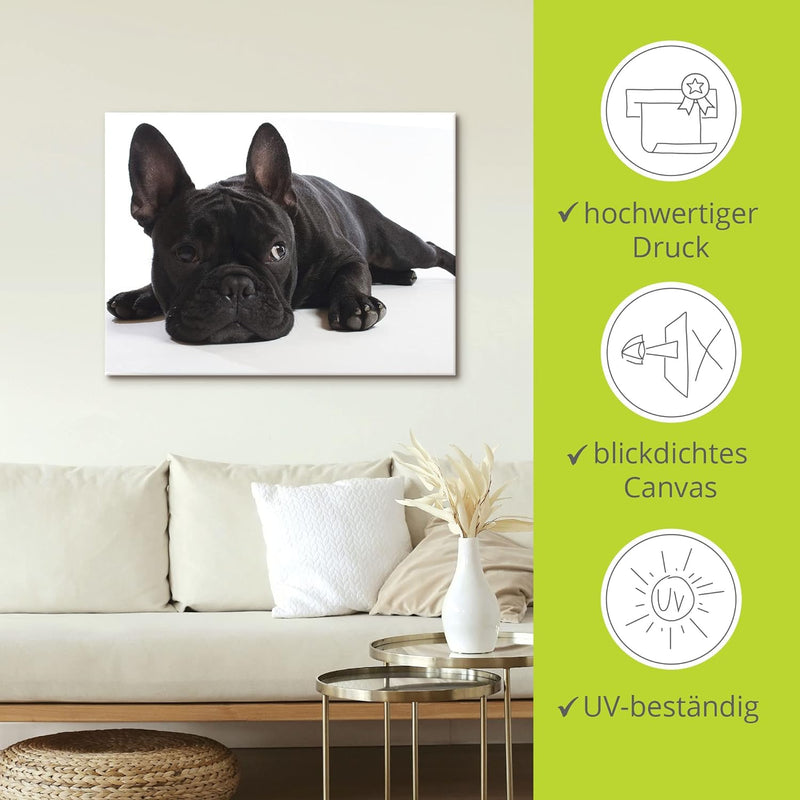 ARTland Leinwandbilder Wandbild Bild auf Leinwand 60x45 cm Tiere Haustiere Hund Fotografie Schwarz W