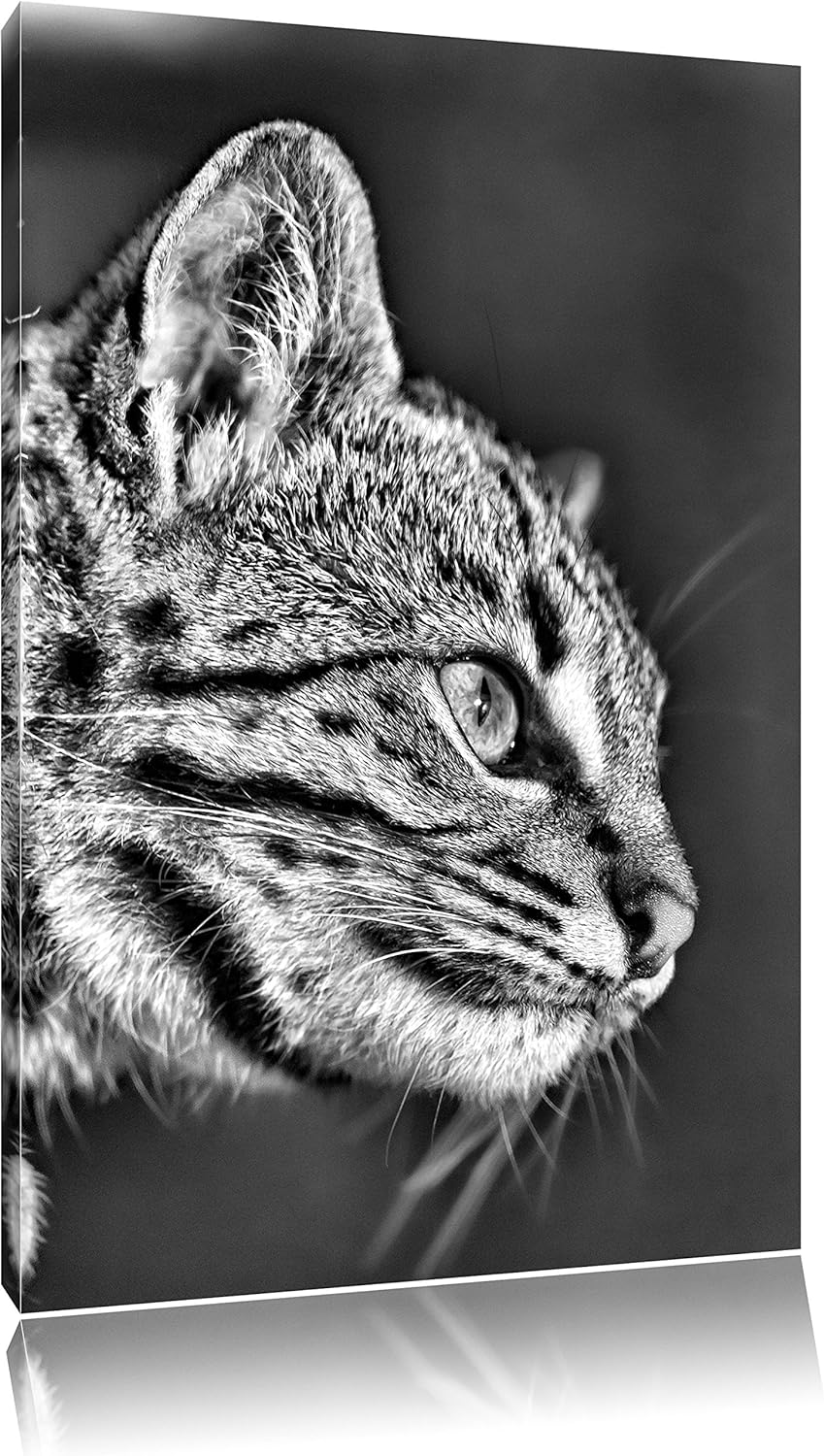 Pixxprint Bengalkatze im Profil als Leinwandbild/Grösse: 100x70 / Wandbild/Kunstdruck/fertig bespann