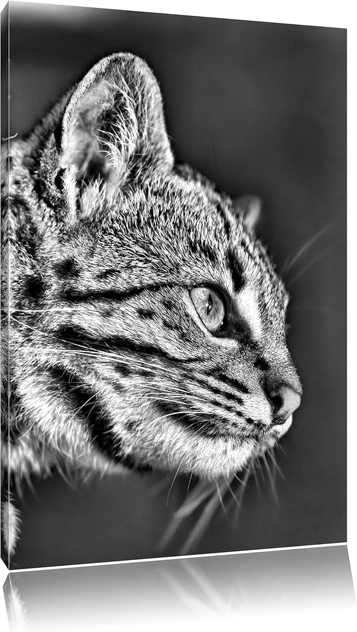 Pixxprint Bengalkatze im Profil als Leinwandbild/Grösse: 100x70 / Wandbild/Kunstdruck/fertig bespann