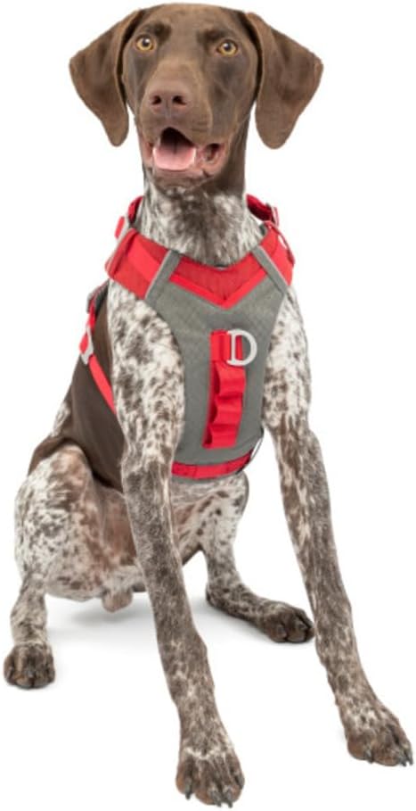 Kurgo Journey Air Hundegeschirr, Mit gepolstertem Brustteil und Rückgriff, Für Hunde von 11-23 kg, G