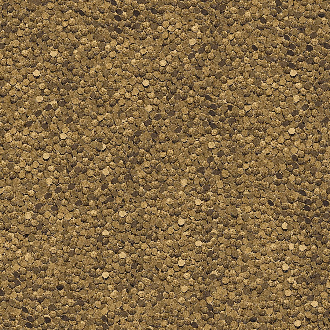 JBL Frühjahrsfutter für Koi, Schwimmende Futterwafer, Saisonfutter, ProPond Spring, Grösse S, 4,2 kg