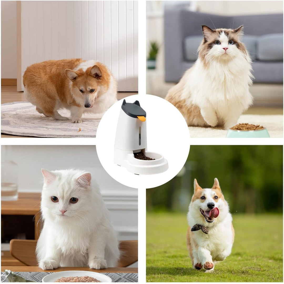 Futterspender und Bewässerungsspender | Katzenwasserspender Automatischer Spender – Katzenfütterung