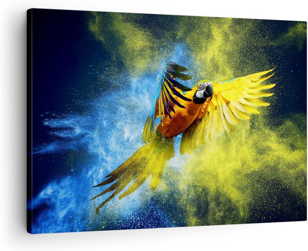 Bilder auf Leinwand Papagei Vogel Feder Leinwandbild mit Rahmen 70x50cm Wandbilder Dekoration Wohnzi