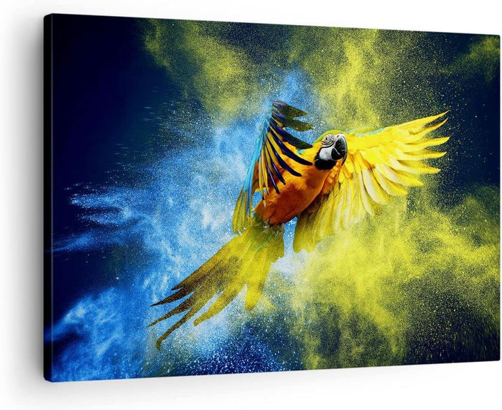 Bilder auf Leinwand Papagei Vogel Feder Leinwandbild mit Rahmen 70x50cm Wandbilder Dekoration Wohnzi