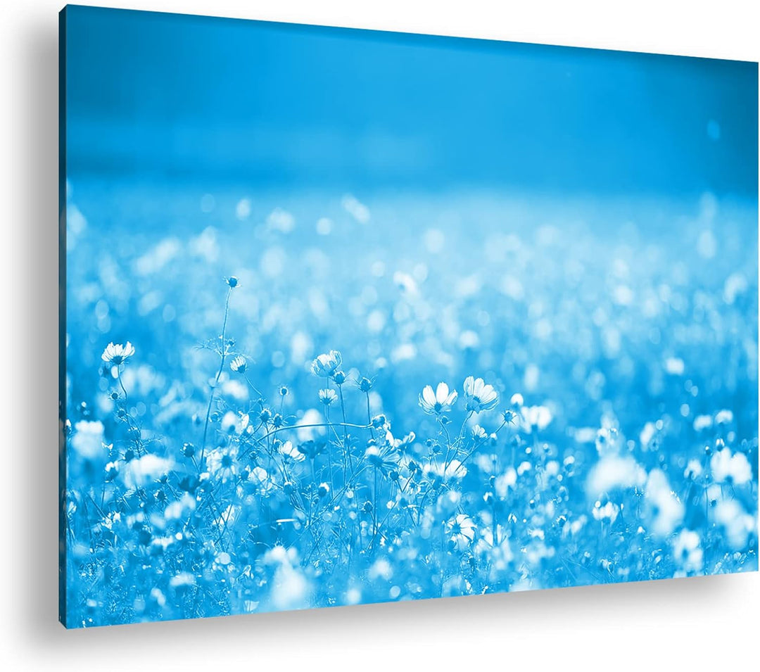 deyoli entzückende Blumenwiese Format 80x60 Effekt: Monocrome Blau als Leinwandbild, Motiv fertig ge