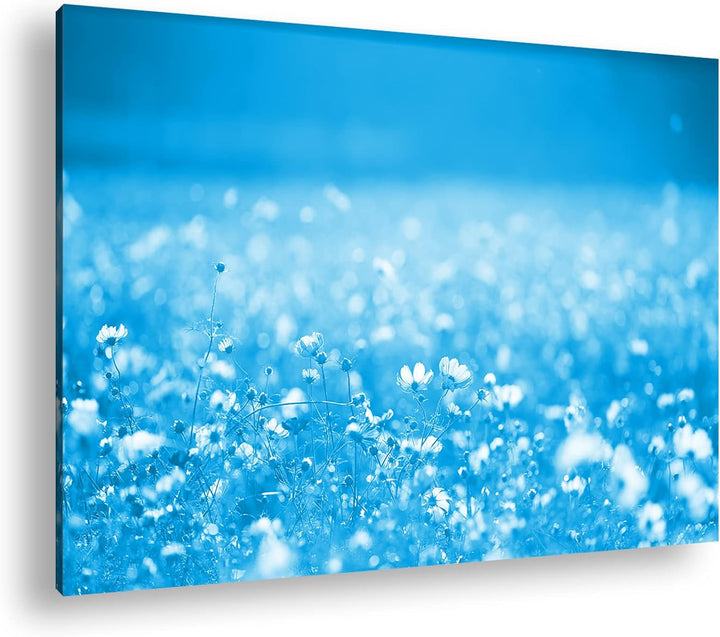 deyoli entzückende Blumenwiese Format 80x60 Effekt: Monocrome Blau als Leinwandbild, Motiv fertig ge