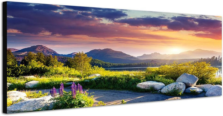 Paul Sinus Art Panoramabild auf Leinwand und Keilrahmen 150x50cm Slowakei Berge Wiesen Steine Weg So
