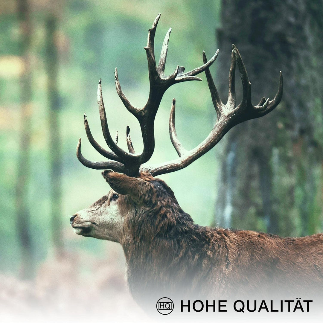 Novart Wandbilder Wald Hirsch - KOMPLETT AUFHÄNGFERTIG - Natur Grün Wohnzimmer Schlafzimmer- 7 Moder