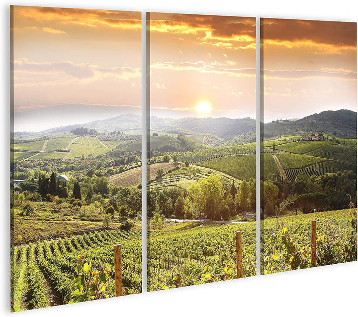islandburner Bild auf Leinwand Chianti Weinberg Landschaft In Der Toskana Italien Bilder Wandbilder