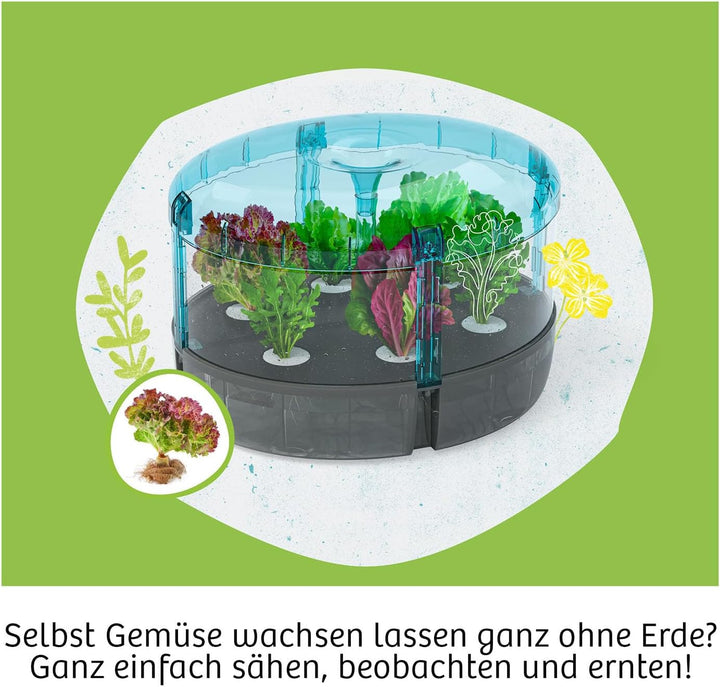 KOSMOS 637293 Hydro-Garten, Pflück-Spass ohne Erde, Experimentierkasten für Kinder ab 8 Jahre, Hydro