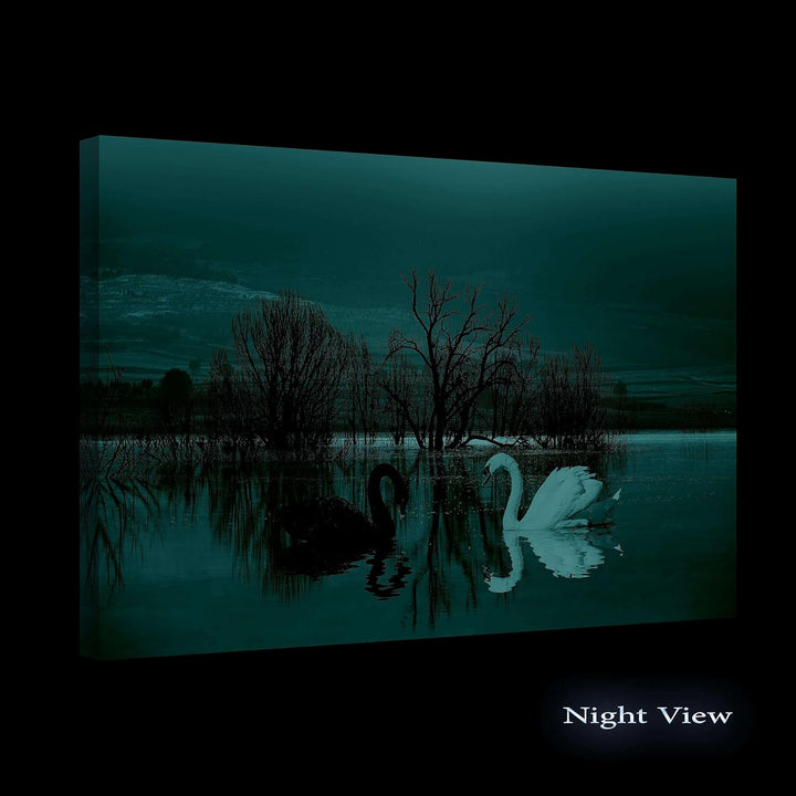 Startonight Bilder - Schwarze Weisse Schwäne - Leinwandbilder Moderne Kunst, Wanddeko Kunstdrucke, W