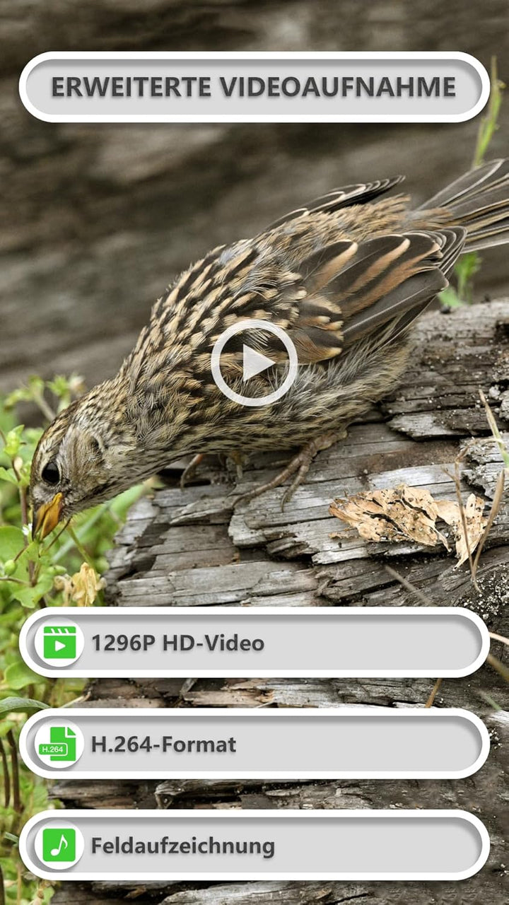 GardePro E8P Wildkamera WLAN, Wiederaufladbare 8000mAh Batterie, 64MP 1296P, Wildtierkamera mit bewe