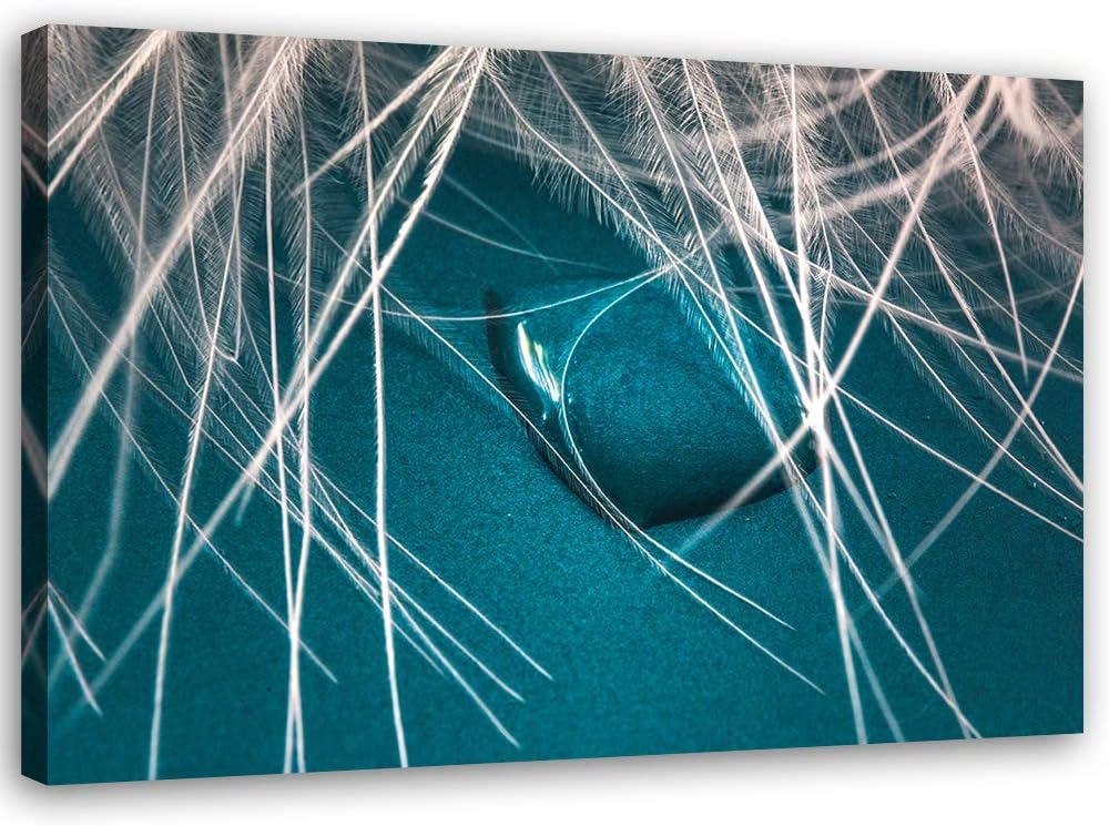 Feeby Leinwandbild Wassertropfen Bild Kunstdruck Natur Blau 80x60 cm M14230 80x60 cm, M14230 80x60 c