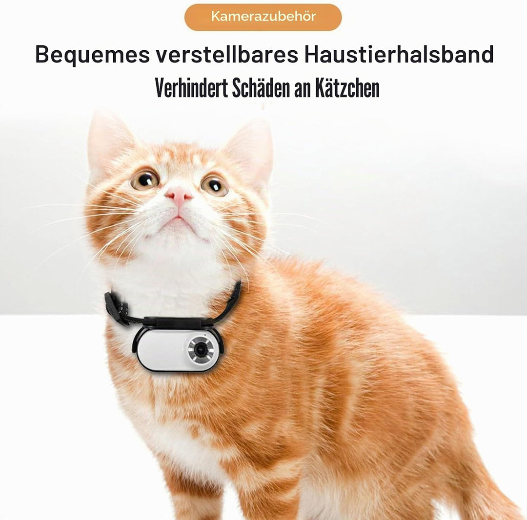 Fabater Katzenhalsband-Kamera, 1080P HD-Hunde-Tracker-Halsband, Mini-Action-Kamera für Videoaufzeich