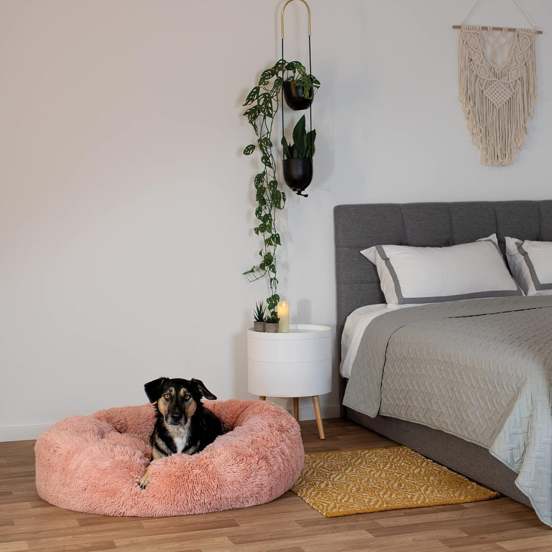 lionto Hundebett rund Hundekissen Hundesofa Katzenbett Donut, (3XL) 100 cm Ø rosa L 100 x B 100 x H