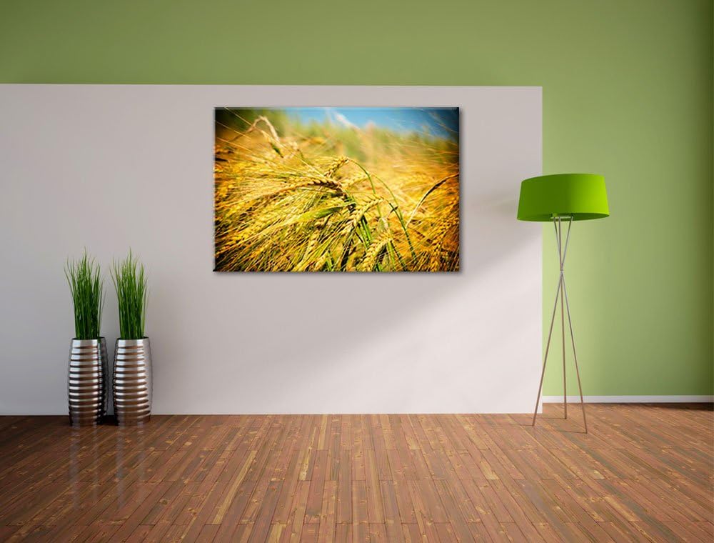 Goldene Getreide Ären Format: 100x70 auf Leinwand, XXL riesige Bilder fertig gerahmt mit Keilrahmen,