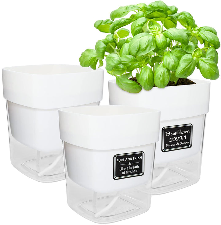 iDattel Kräutertopf Küche Set Fensterbank Selbstbewässernd, 3er Kräutertopf Blumentopf,12X14X10cm,Pf