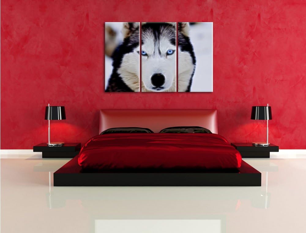 Pixxprint Husky Neon Lights Effekt 3-Teiler Leinwandbild 120x80 Bild auf Leinwand