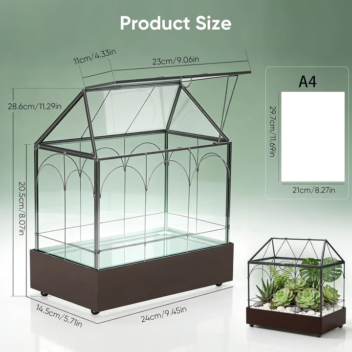 Mini Gewächshaus, 24x14,5x28cm Terrarium mit Aufklappbarem Glasdeckel, Volltransparentem Glas und Bo
