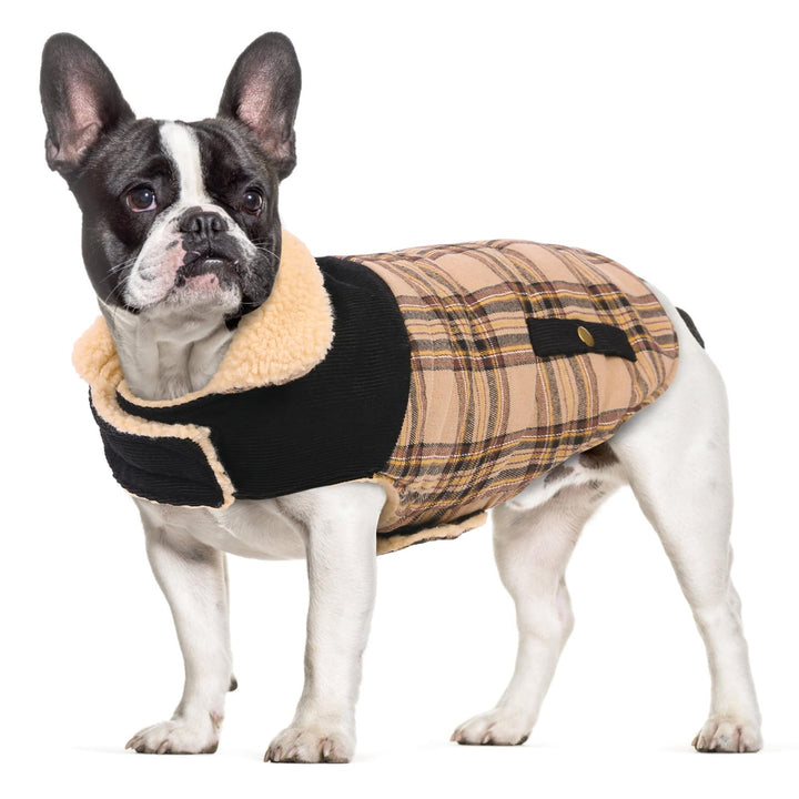 CITÉTOILE Warme Hundemantel Fleece, Wintermantel Winterjacken für Kleine/Grosse/Mittlere Hunde, Hund