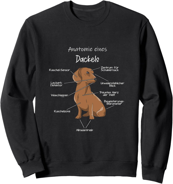 Anatomie eines Dackels | Dachs Hund Hunde Dog Teckel Sweatshirt