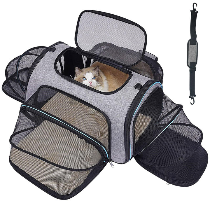 Faltbarer Transporttasche Katze und Hund,erweiterbare Katzentransportbox mit Schultergurt Hundetrage