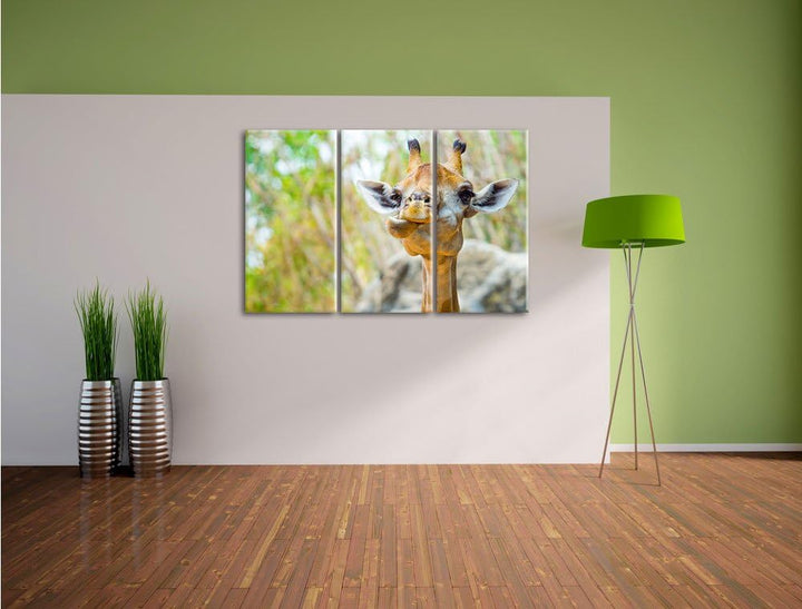 Pixxprint Giraffe in der Natur als Leinwandbild - Grösse: 3-Teilig (120x80cm) - Wandbild - Kunstdruc