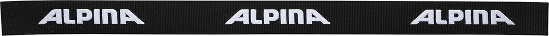 ALPINA Unisex - Erwachsene Skibrille Skibrille (1er Pack) Einheitsgrösse black matt, Einheitsgrösse