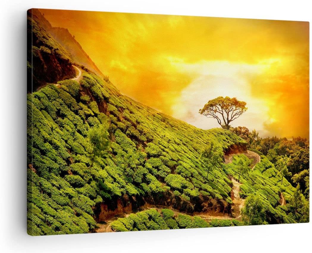 Bilder auf Leinwand Berg Baum Pfad Hügel Leinwandbild mit Rahmen 70x50cm Wandbilder Dekoration Wohnz