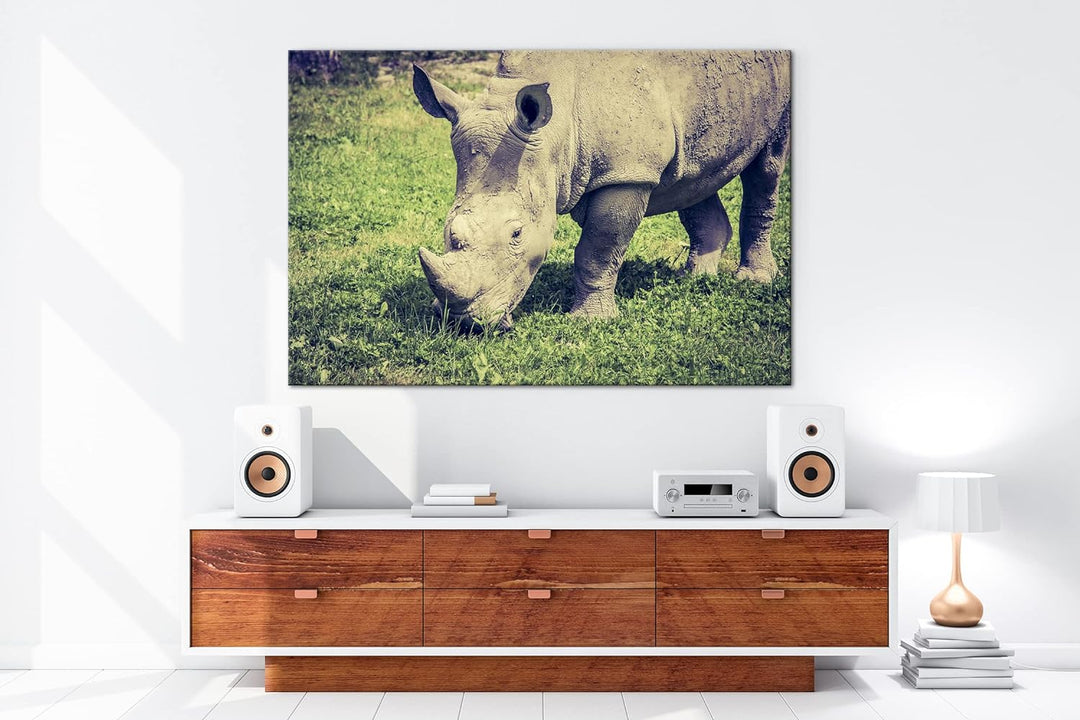 deyoli edles Nashorn Format: 80x60 als Leinwand, Motiv fertig gerahmt auf Echtholzrahmen, Hochwertig