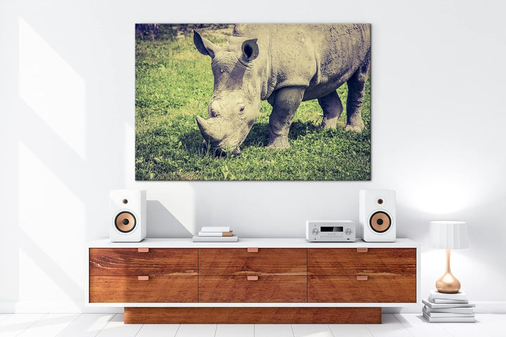 deyoli edles Nashorn Format: 80x60 als Leinwand, Motiv fertig gerahmt auf Echtholzrahmen, Hochwertig
