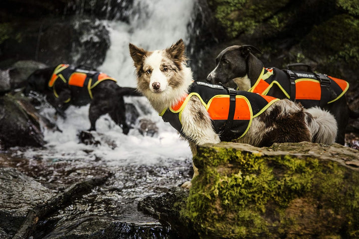 Julius-K9, IDC Multifunktionale Hundeweste 3in1, Grösse: XL, Schwarz und UV Orange XL Schwarz und Ne