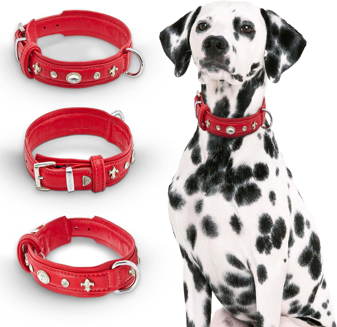 MICHUR Julieta Hundehalsband Leder, Lederhalsband Hund, Halsband, Rot, Leder, mit Lilien, Strassstei