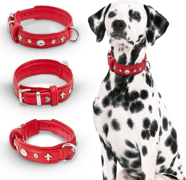 MICHUR Julieta Hundehalsband Leder, Lederhalsband Hund, Halsband, Rot, Leder, mit Lilien, Strassstei