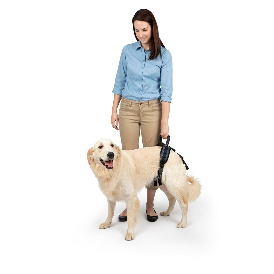 PetSafe CareLift Hüft-Hebegeschirr für Hunde, Hebehilfe mit Griff und Schultergurt zur Hüftunterstüt
