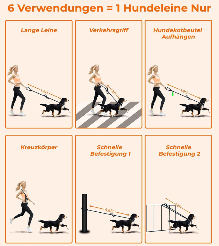 Culacos Leder Hundeleine - Handgemachte 1,3m mit 2-Griff-Design für kleine und mittelgrosse Hunde, B