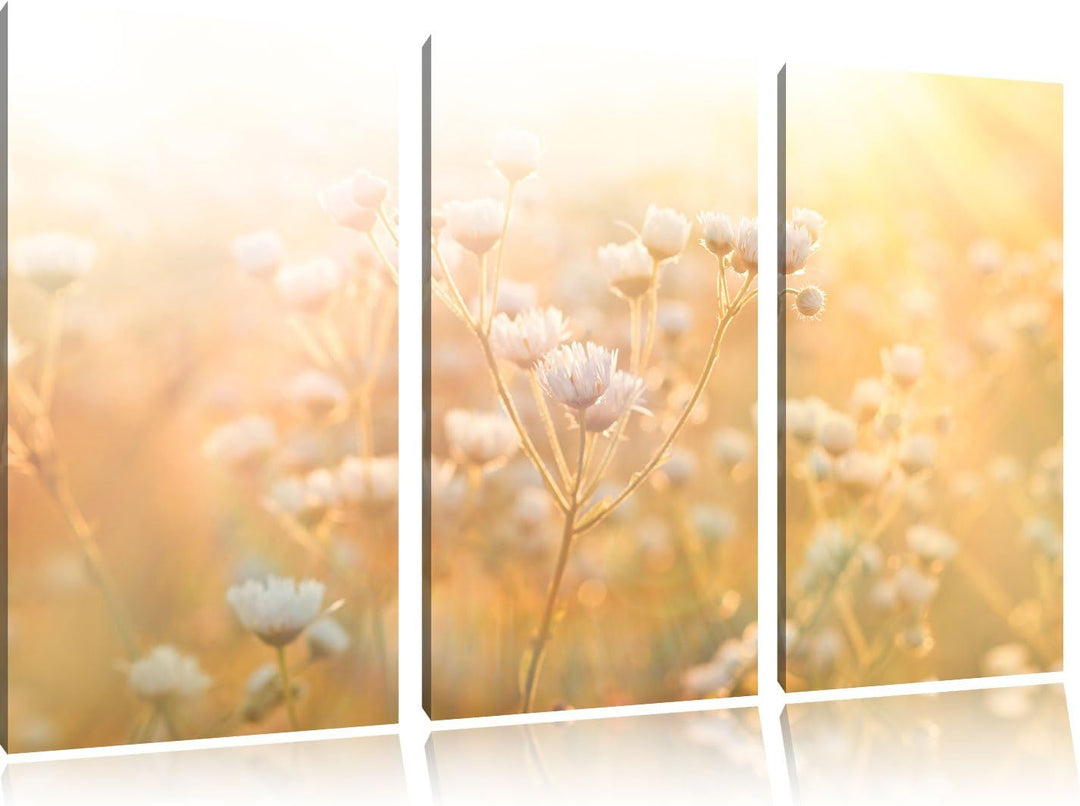 Pixxprint Romantische Blumenwiese als Leinwandbild | Grösse: 3 Teilig (120x80) | Wandbild| Kunstdruc