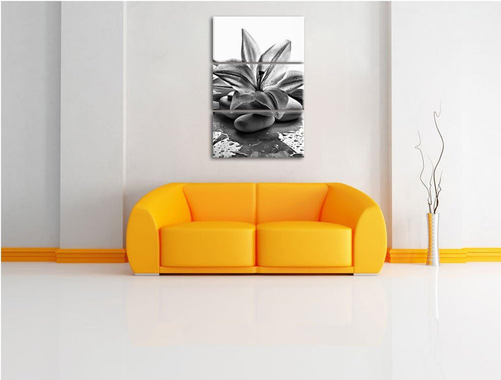 Pixxprint Blaue Lilie und Tulpe als Leinwandbild/Grösse: 3 Teilig (120x80) cm/Wandbild/Kunstdruck/fe