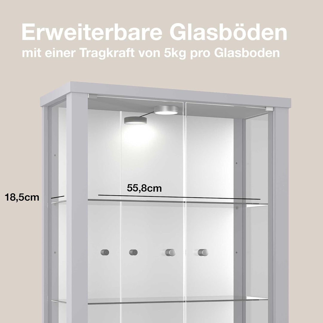 K-Möbel Hängevitrine in Alu/Silber (80x60x25 cm) mit 2 höhenverstellbaren Glasböden, Spiegel & LED -