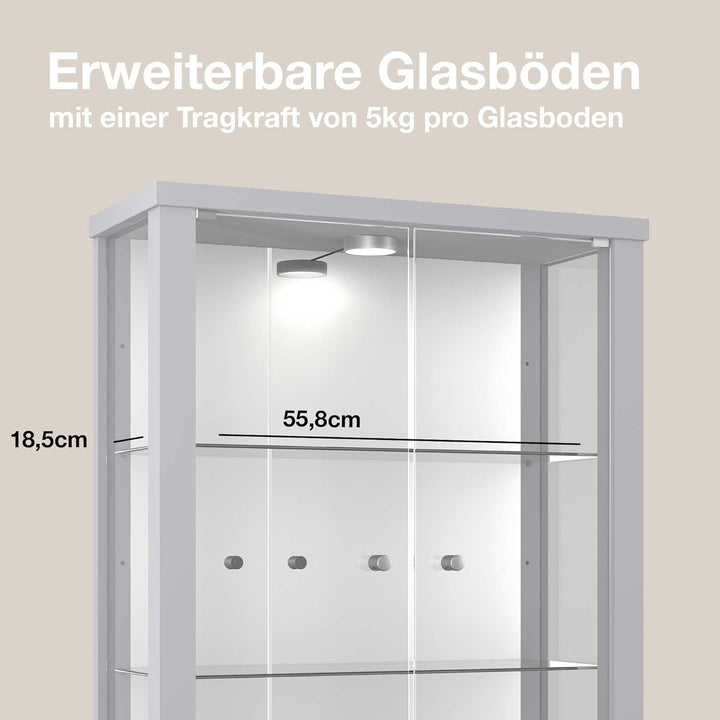K-Möbel Hängevitrine in Alu/Silber (80x60x25 cm) mit 2 höhenverstellbaren Glasböden, Spiegel & LED -