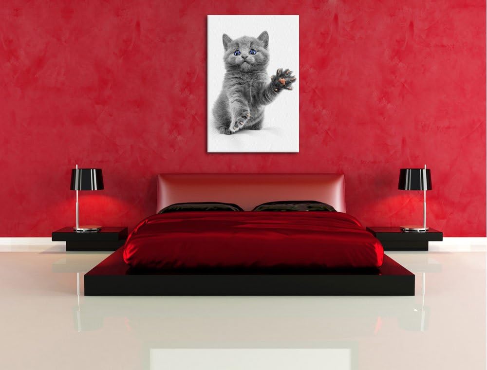 süsse kleine russisch Blau schwarz/weiss Format: 100x70 auf Leinwand, XXL riesige Bilder fertig gera
