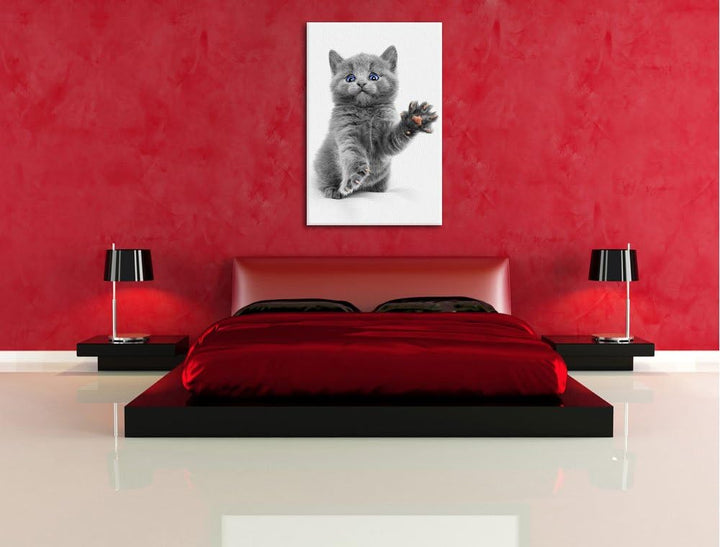 süsse kleine russisch Blau schwarz/weiss Format: 100x70 auf Leinwand, XXL riesige Bilder fertig gera